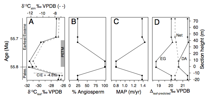 Diefendorf et al., 2010