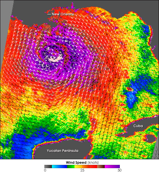 QuikSCAT image of Hurricane Katrina (2005) Credit: NASA/VisibleEarth